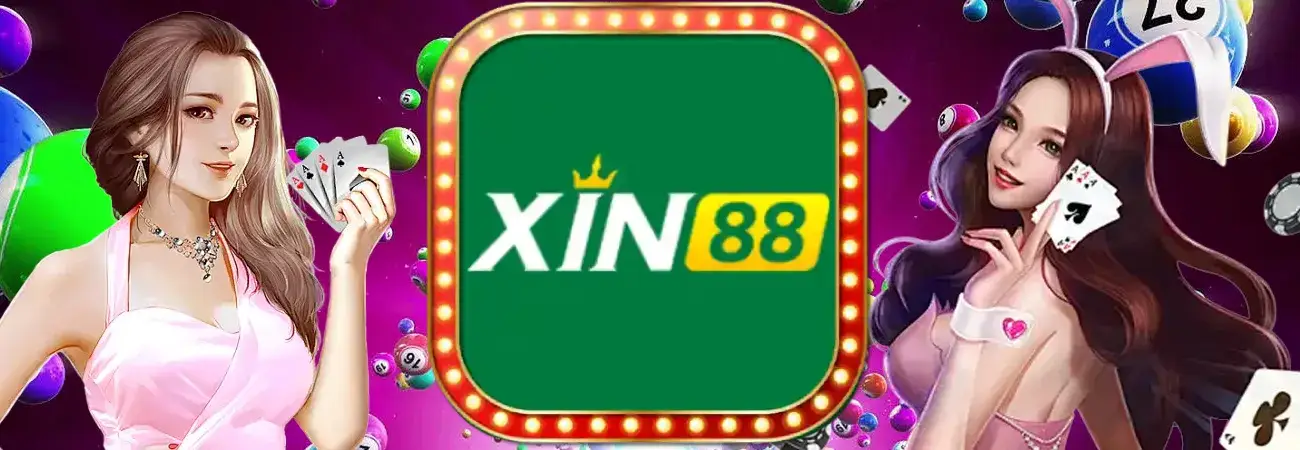 xin88